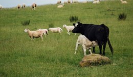 Gloucester: Post mortem insights 